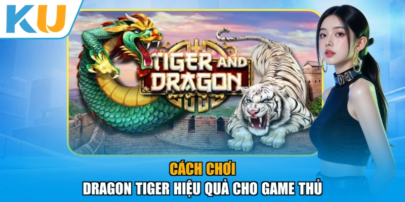 Cách chơi Dragon Tiger hiệu quả cho game thủ
