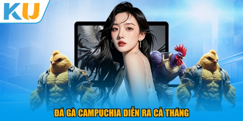 Đá gà Campuchia diễn ra cả tháng