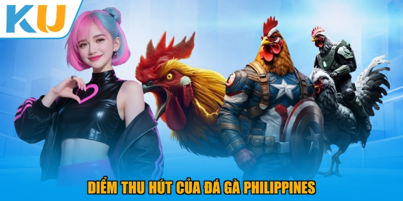 Diểm thu hút của đá gà Philippines