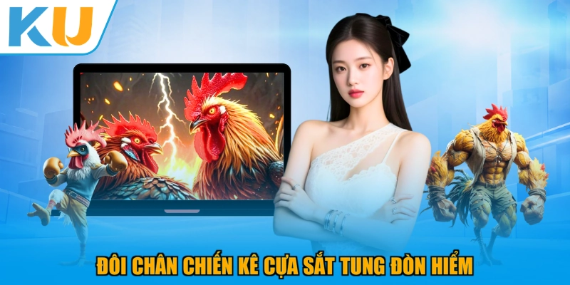 Đôi chân chiến kê cựa sắt tung đòn hiểm