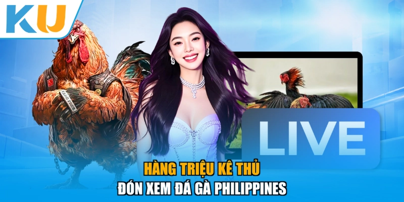 Hàng triệu kê thủ đón xem đá gà Philippines