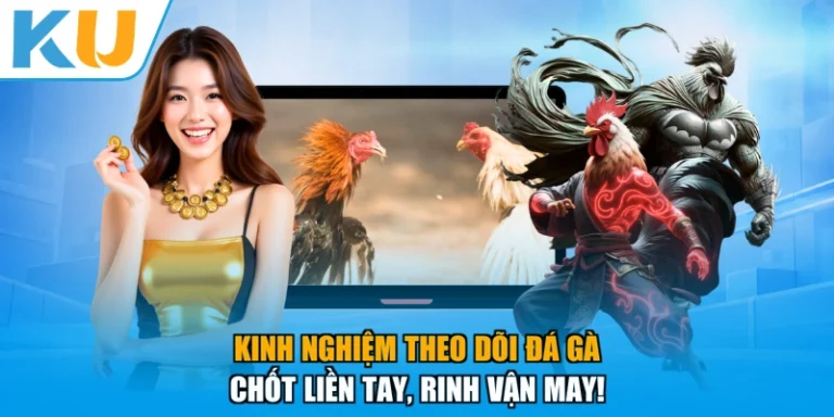 Kinh Nghiệm Theo Dõi Đá Gà - Chốt Liền Tay, Rinh Vận May!