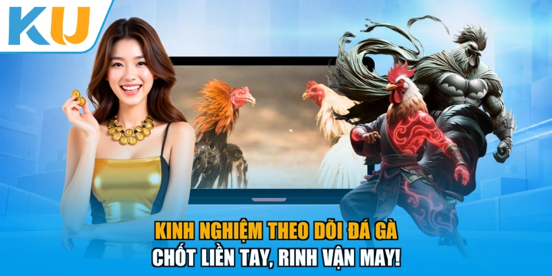 Kinh Nghiệm Theo Dõi Đá Gà - Chốt Liền Tay, Rinh Vận May!