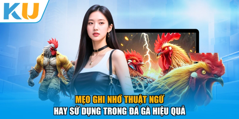 Mẹo ghi nhớ thuật ngữ hay sử dụng trong đá gà hiệu quả