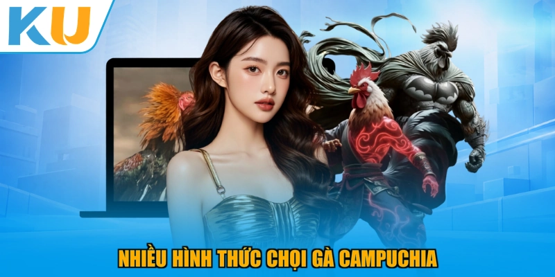 Nhiều hình thức chọi gà Campuchia