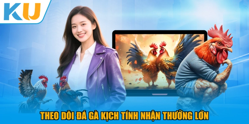 Theo dõi đá gà kịch tính nhận thưởng lớn