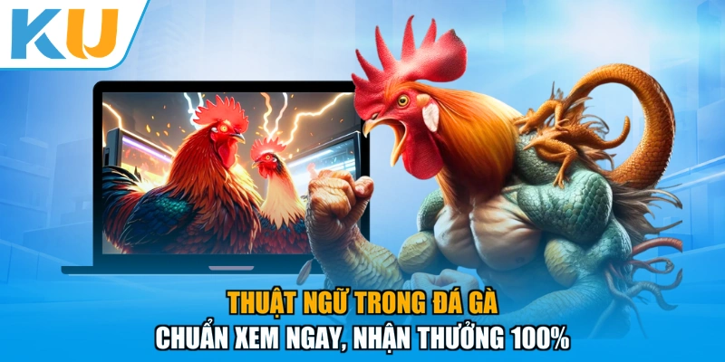 Thuật Ngữ Trong Đá Gà - Chuẩn Xem Ngay, Nhận Thưởng 100%