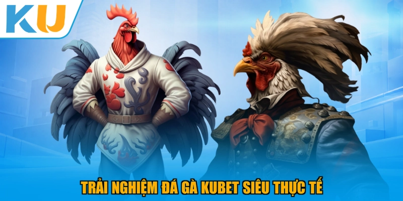 Trải nghiệm Đá Gà KUBET siêu thực tế