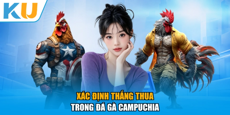 Xác định thắng thua trong đá gà Campuchia